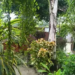 Last Chance Cafe And Guest House