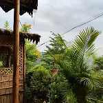 Nature Villa