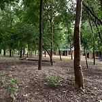 Ganga Yog Retreat By Yog Gurukul