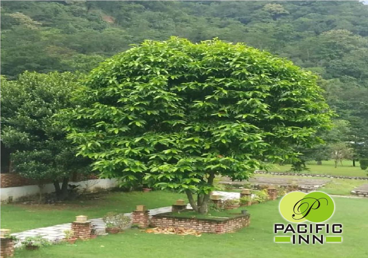 Pacific 4* Rishikesh