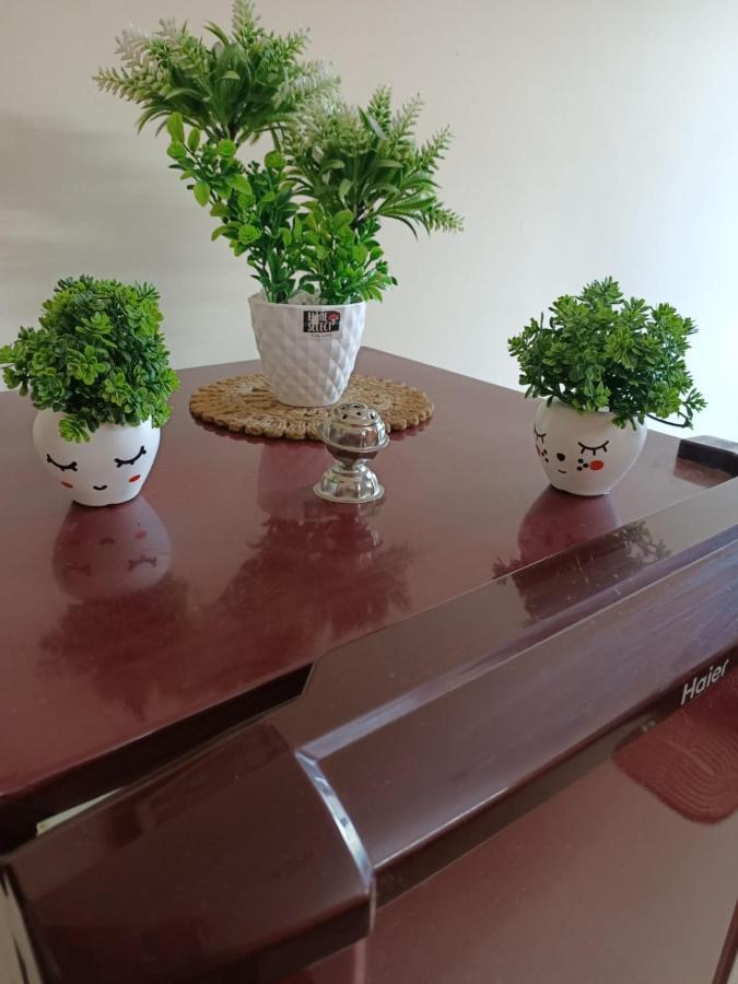 Luxurious Hill View Abode Tapovan Apartment