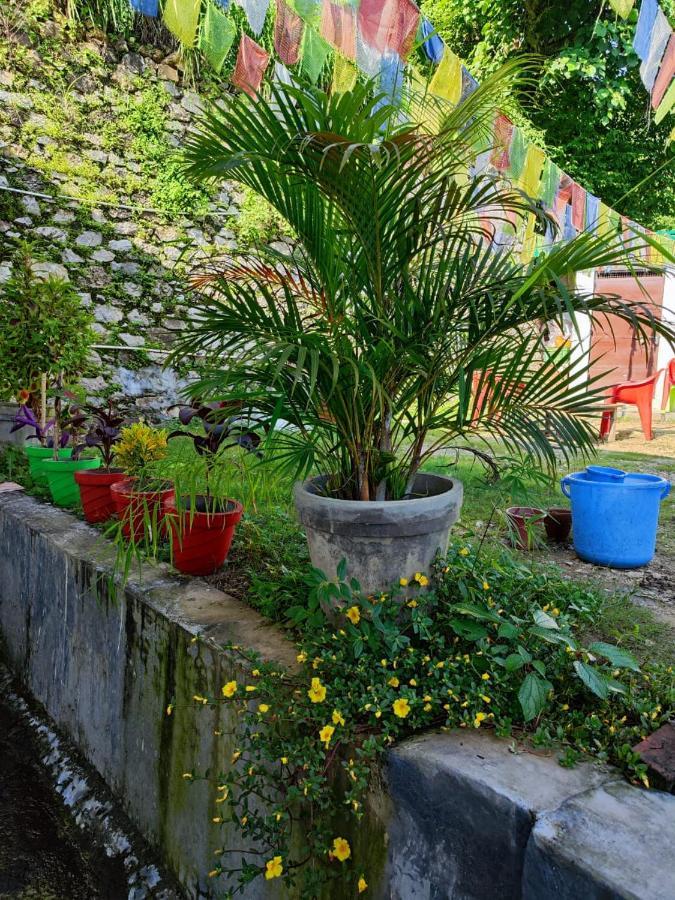 Homestay Nature Rishikesh