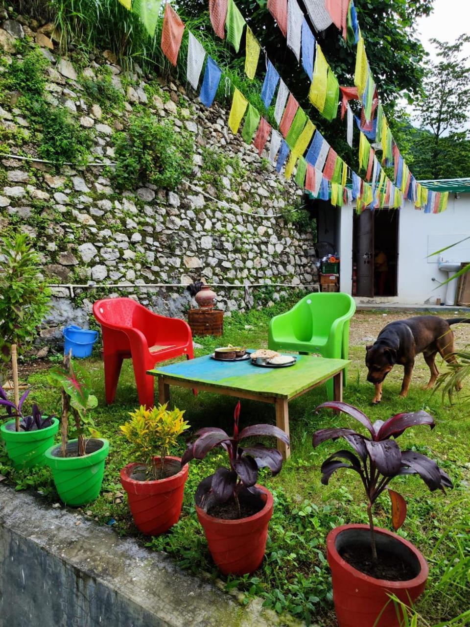 Nature Homestay *