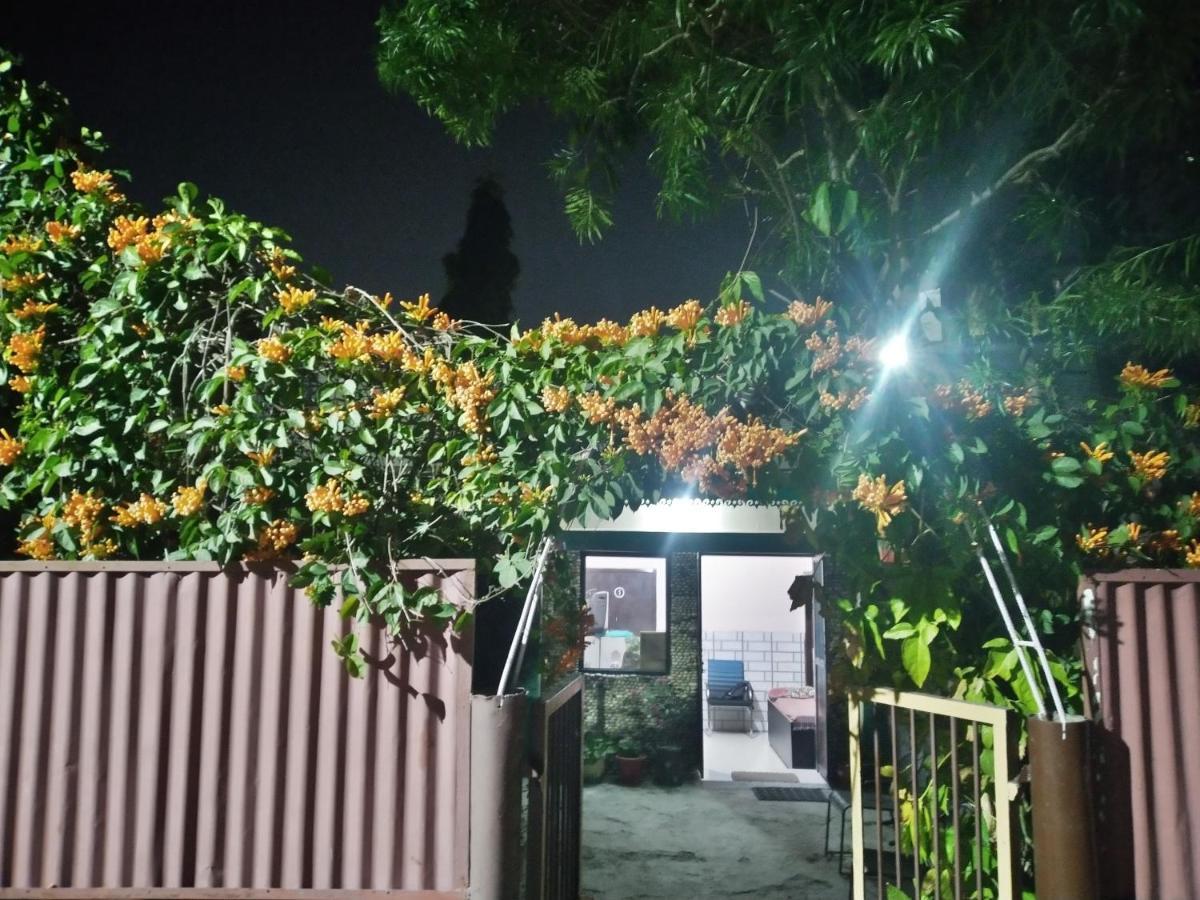 Guest house Last Chance Cafe And *