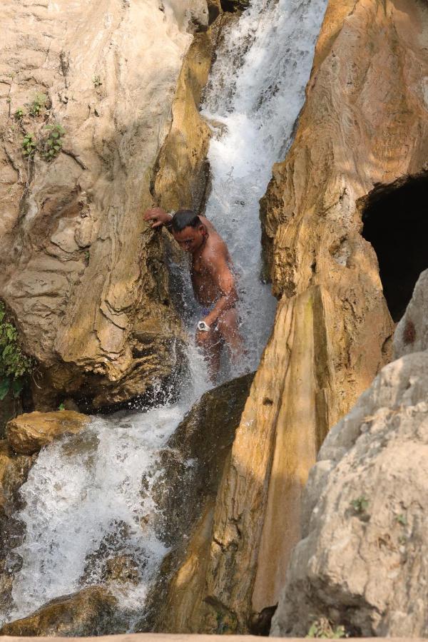 Homestay Nature *