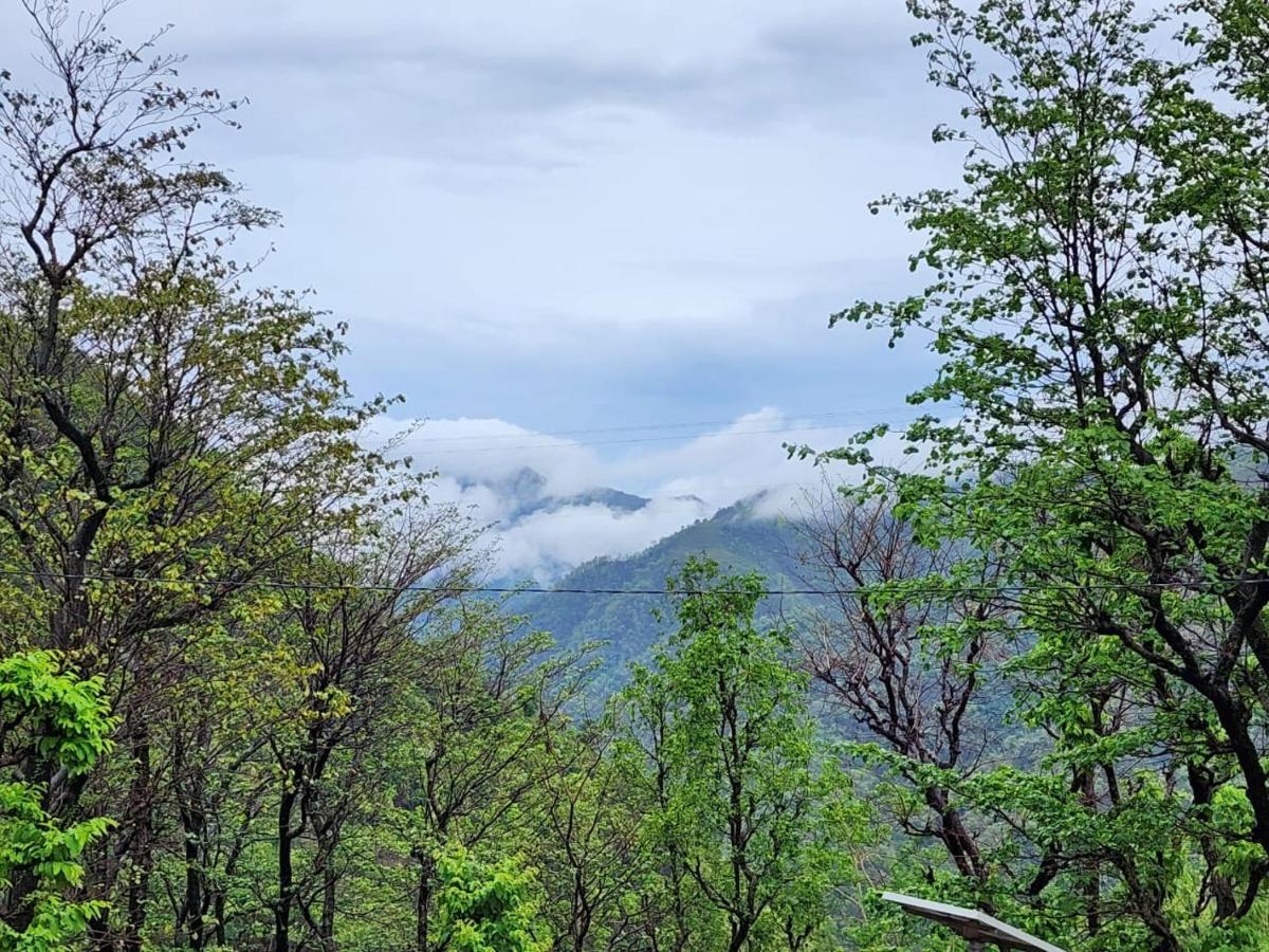 Nature * Rishikesh