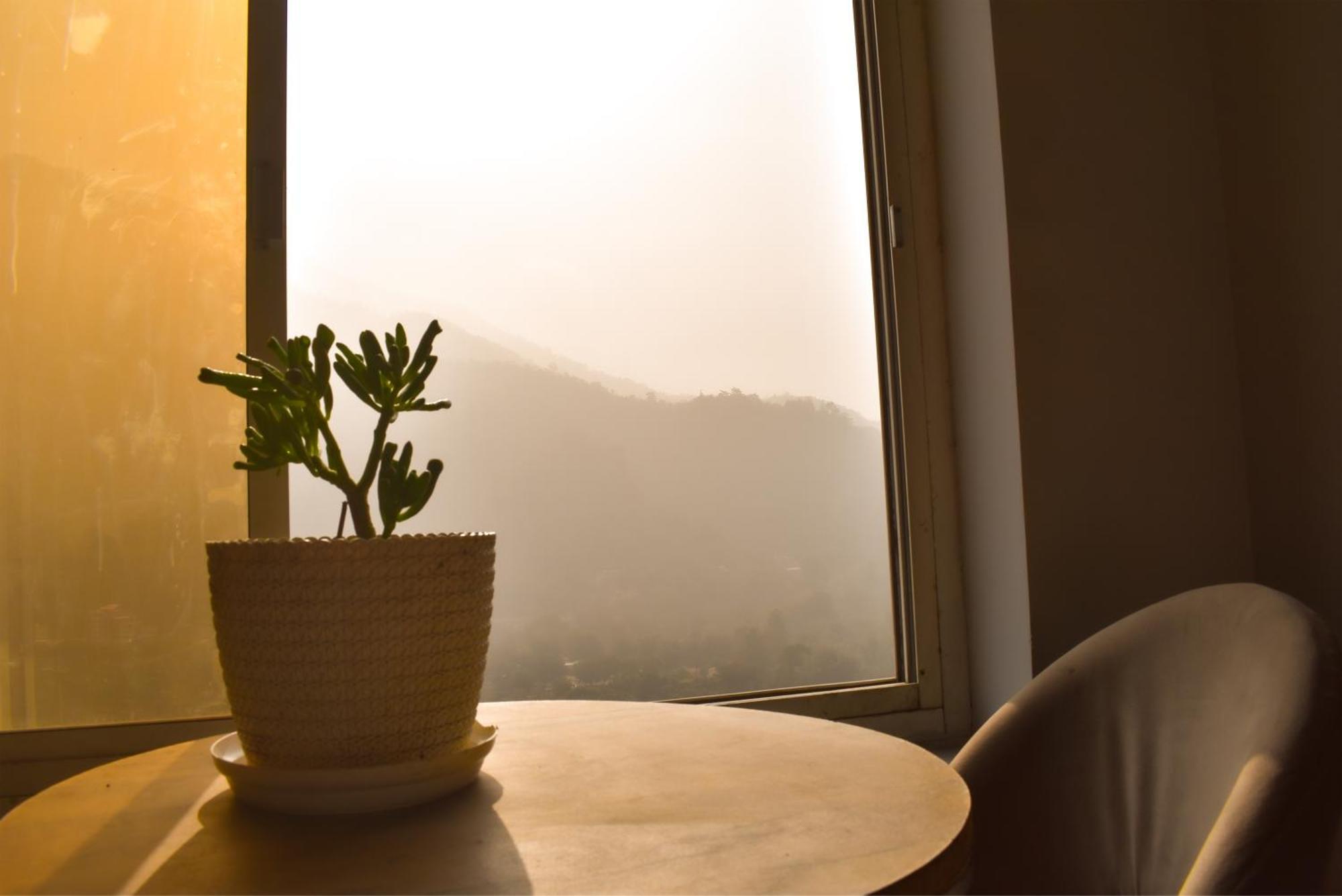 Soul Haven On Main Rishikesh