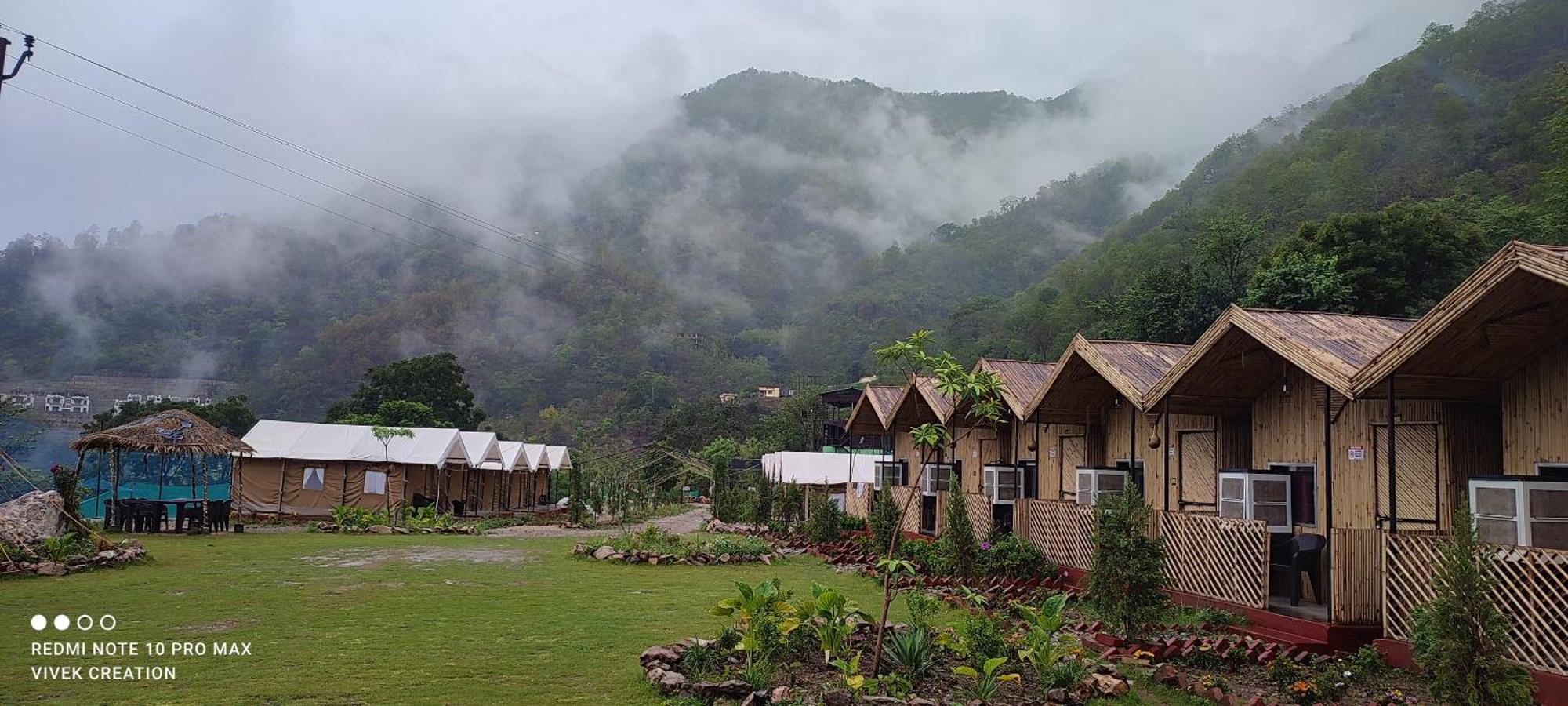 The Jungle Mist