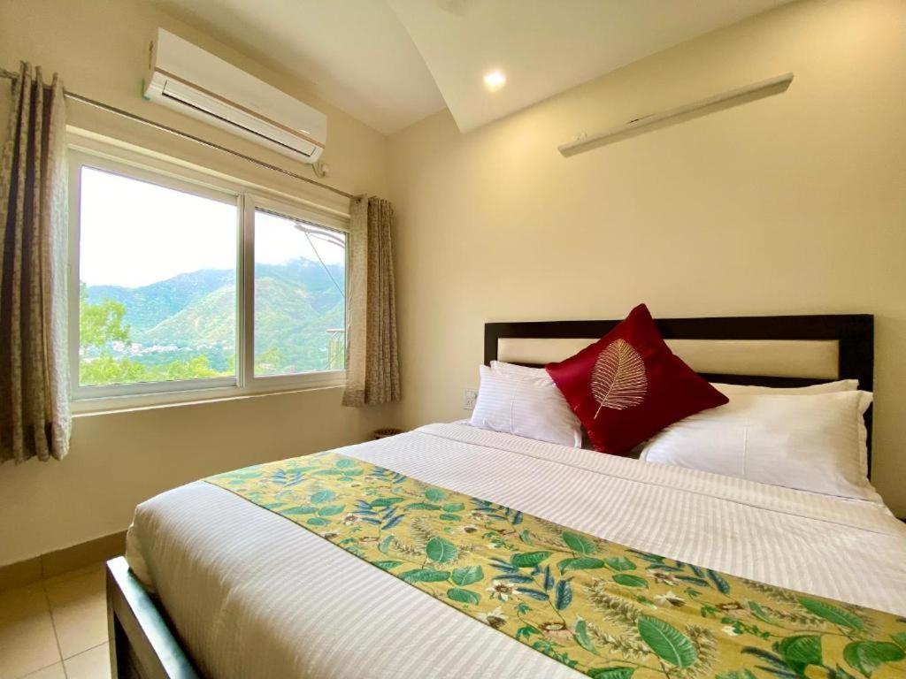Amoha Homestay *