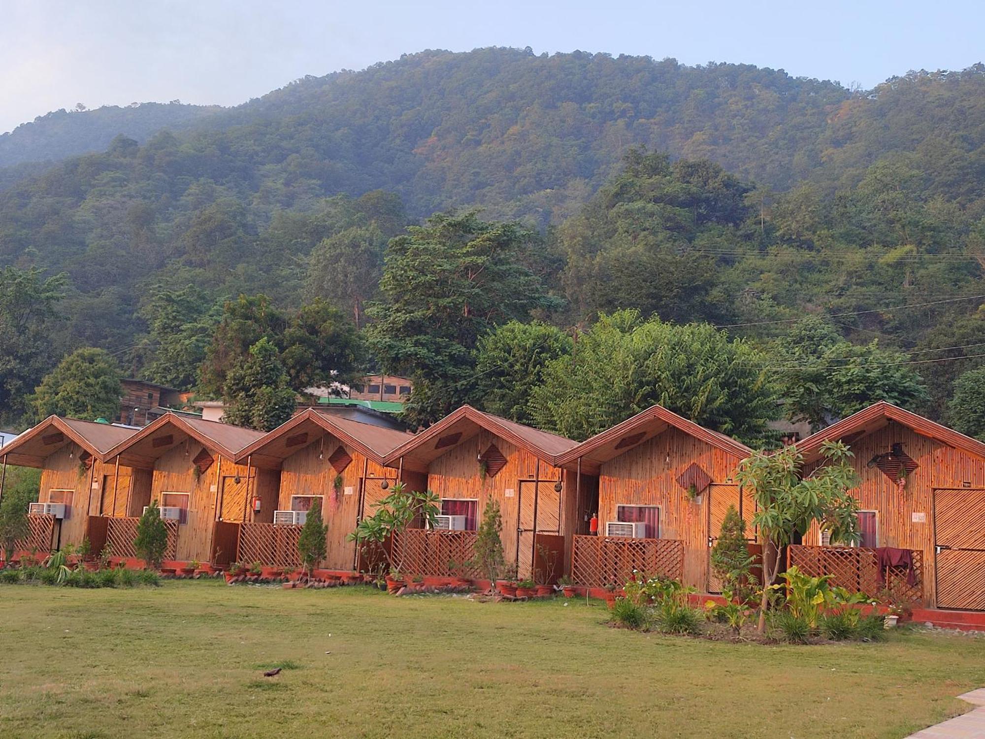 The Jungle Mist