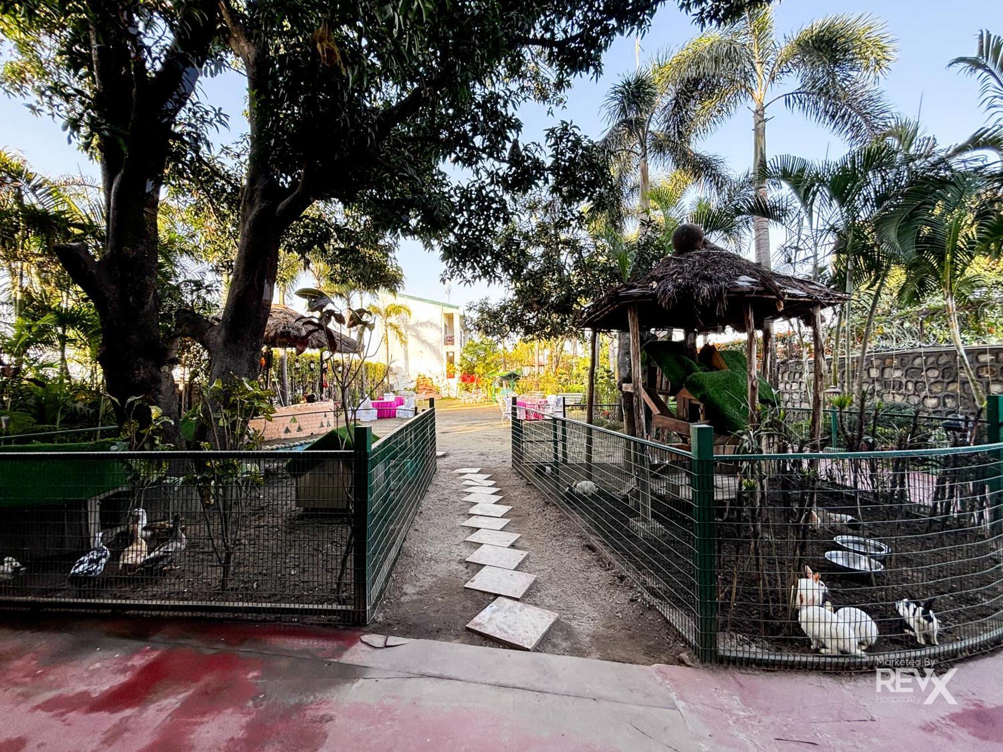 Resort The Neeraj River Forest Ayurvedic Wellness Center Rishikesh