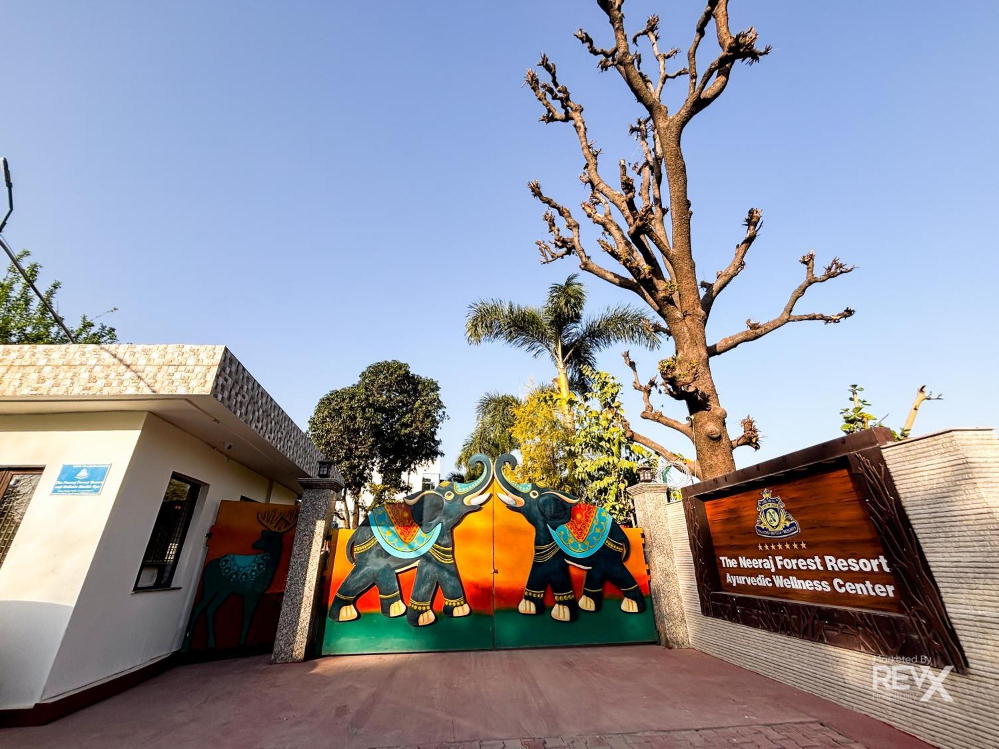 The Neeraj River Forest Ayurvedic Wellness Center Rishikesh