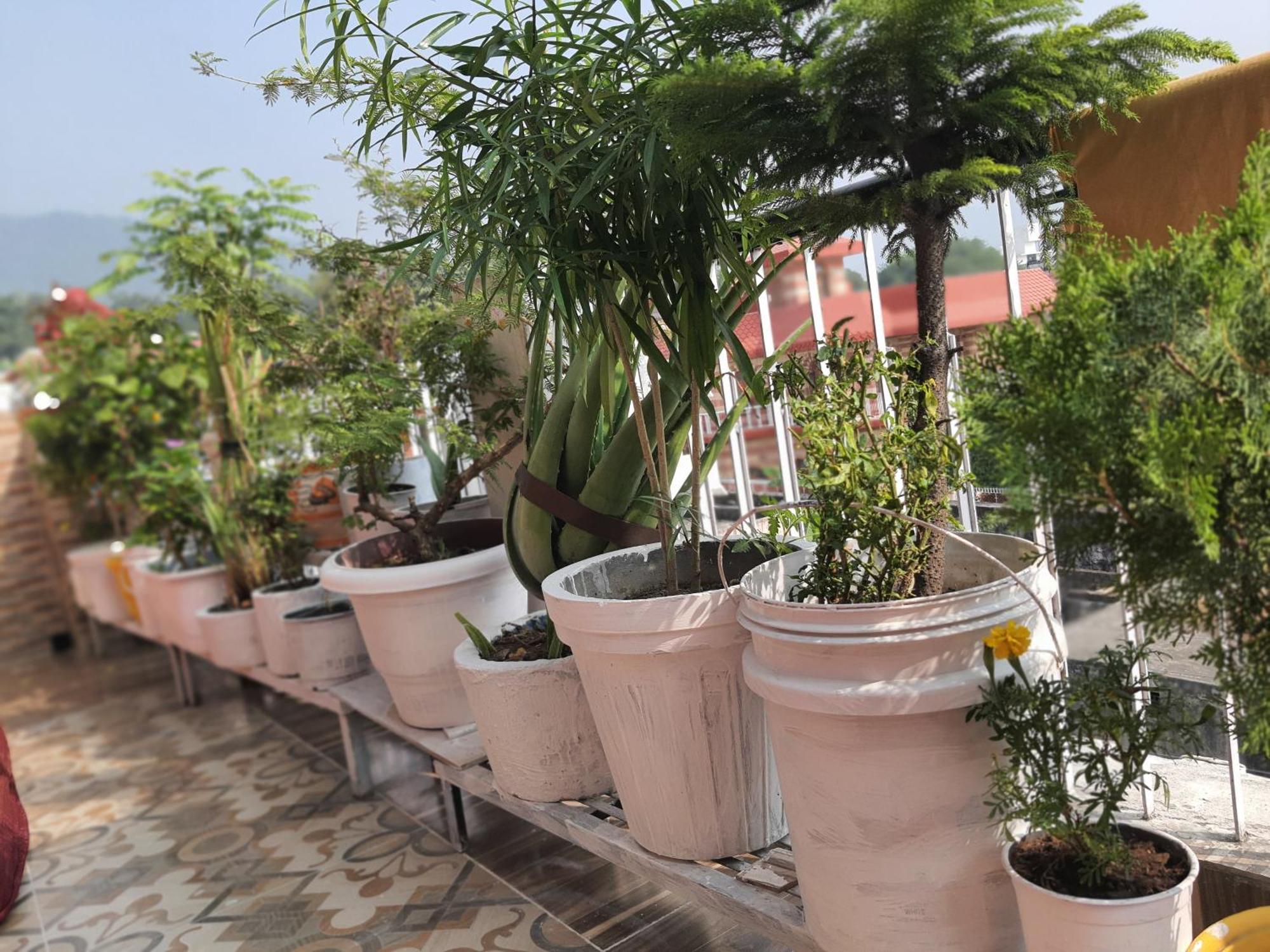 Hostel Tulsi Ganga