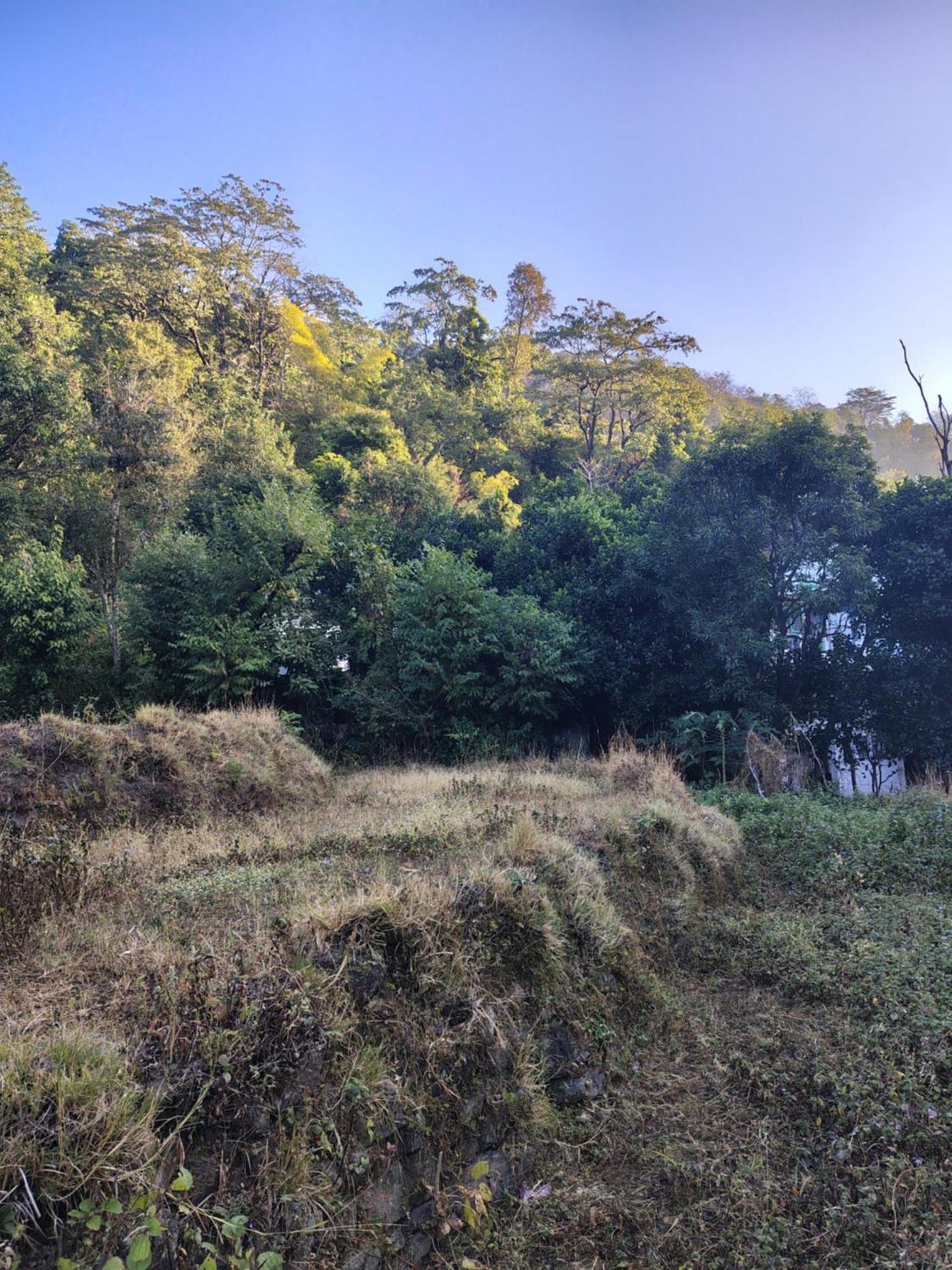 Vishranti Homestayy * Rishikesh