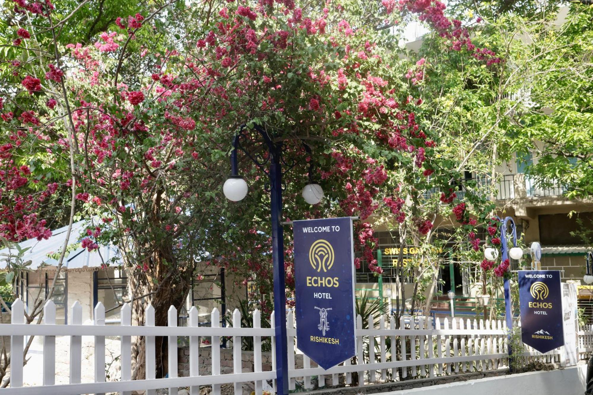 Echos * Rishikesh
