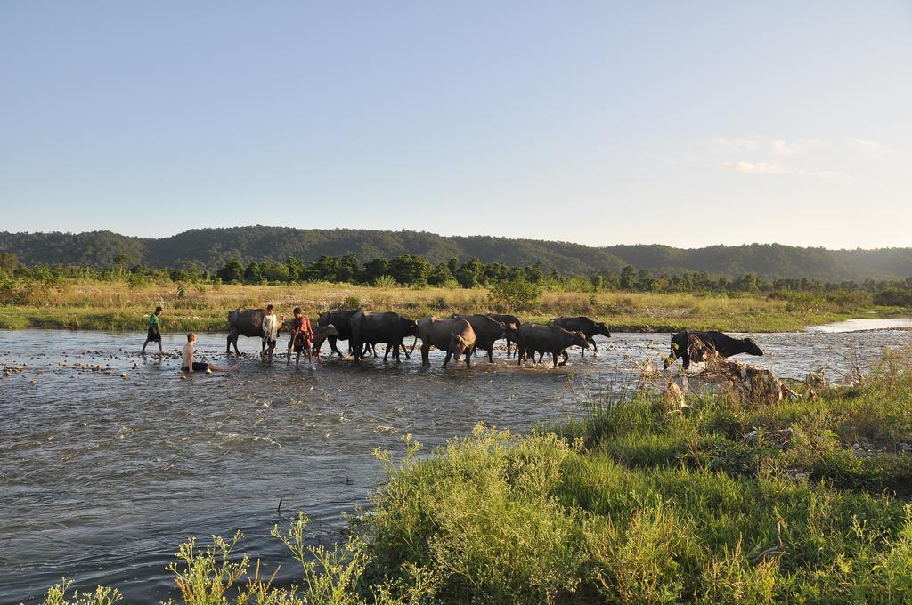 Nature Care Village- Rajaji National Park *