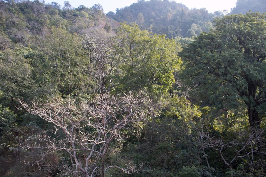 Hotel Golden Crown Laxman Jhula