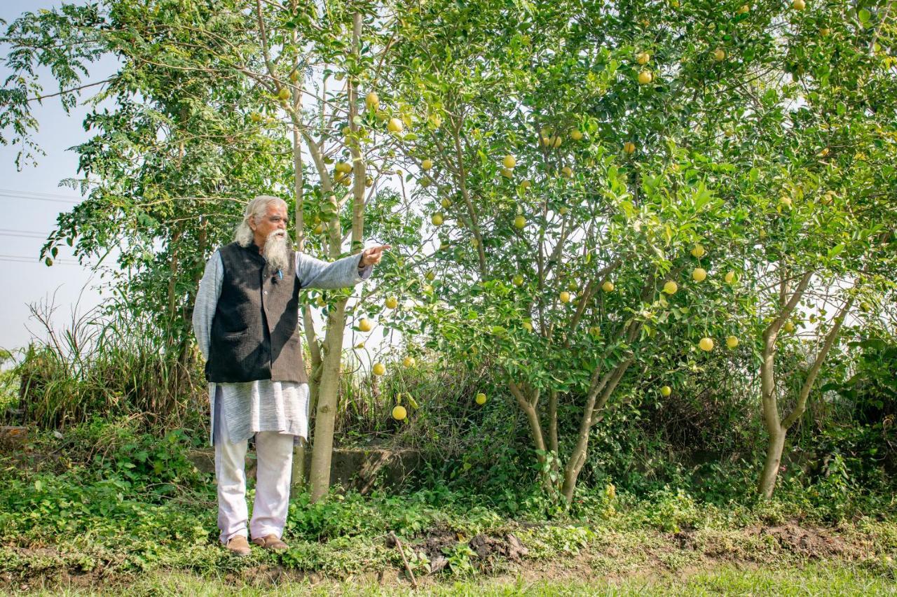 Farm stay Nature Care Village- Rajaji National Park Rishikesh