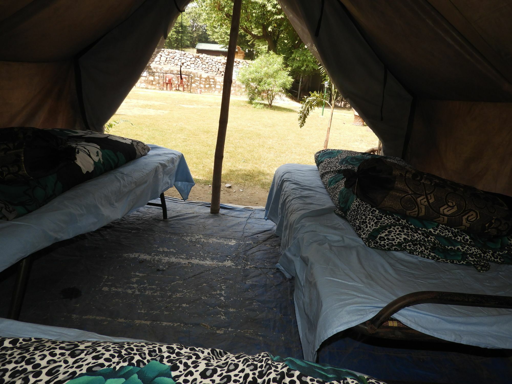 Campsite Wildhawk Adventures