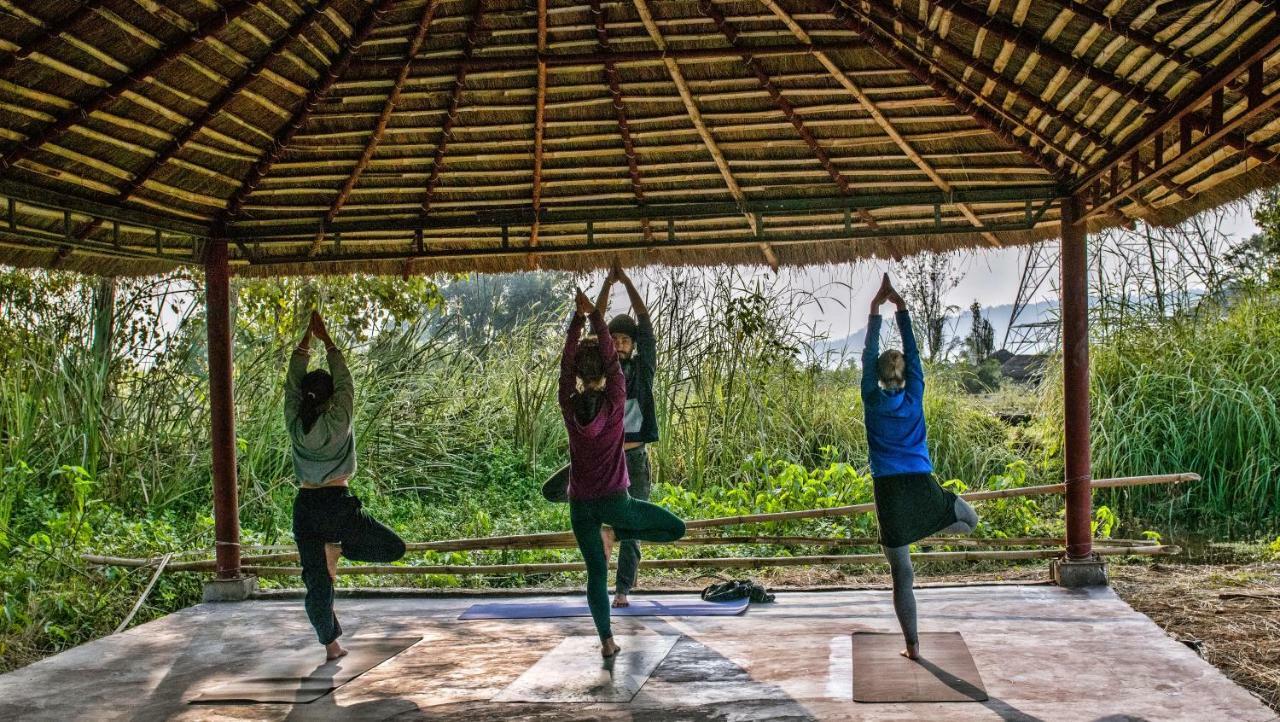 Nature Care Village- Rajaji National Park * Rishikesh