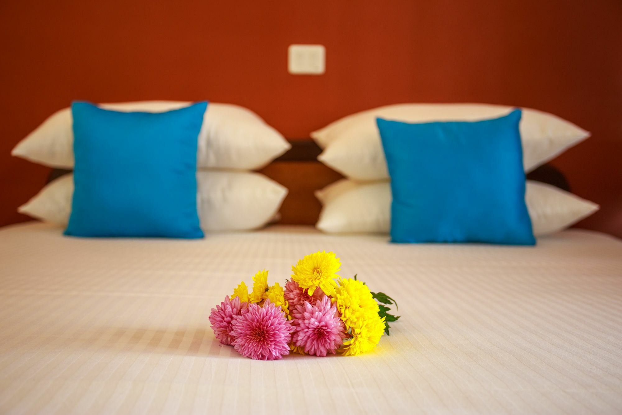 The Ayali Holiday home *