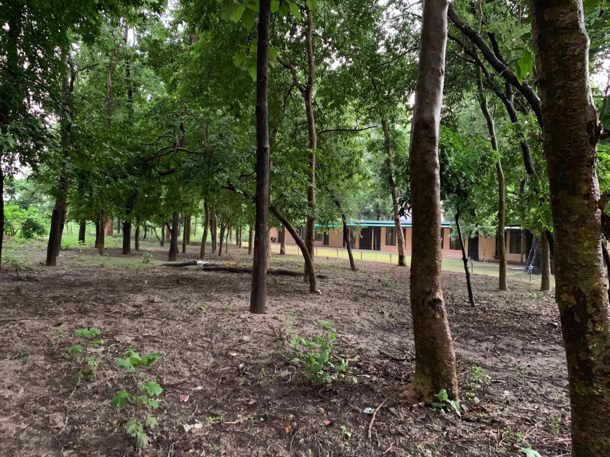 Ganga Yog Retreat By Yog Gurukul Rishikesh